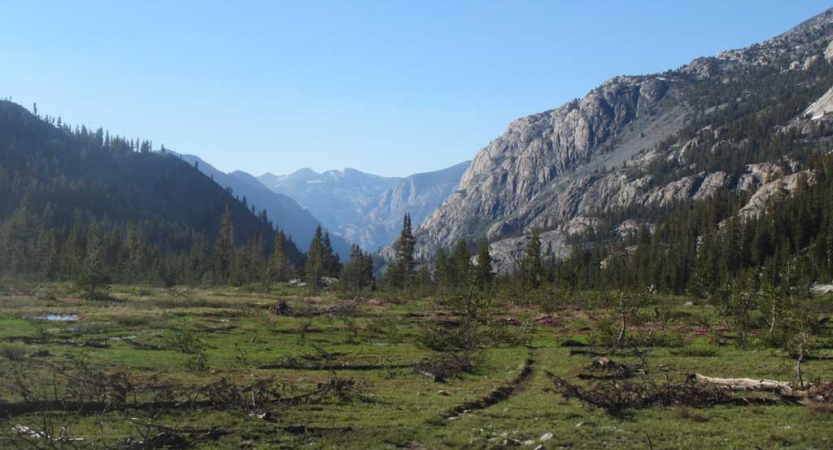 A trail winds through a grassy alpine meadow. There are evergreen trees and vast mountains in the background. 